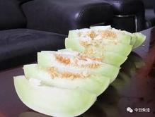 卖珠子吃瓜,一场别开生面的珠子与瓜果盛宴