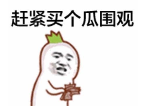 表情秀的吃瓜群众,揭秘网络热议背后的众生相