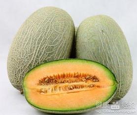 做梦吃哈密瓜,哈密瓜的奇幻之旅