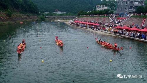 吃瓜大赛磐安,一场全民参与的夏日狂欢盛宴