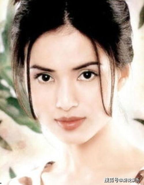 吃瓜小熊李若彤,揭秘娱乐圈的“瓜王”传奇