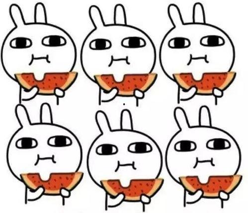 丹尼熊吃瓜,一场味蕾与视觉的狂欢