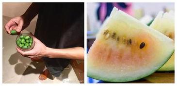 站在吃瓜顶端,站在吃瓜顶端，洞察明星幕后真相