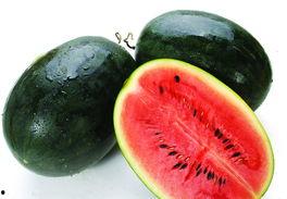 请你吃广西博白特产瓜,探寻广西博白瓜香四溢的美食之旅