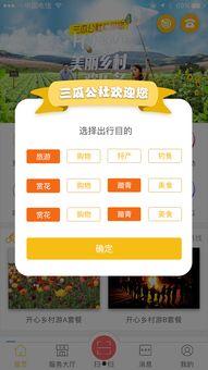 吃瓜社网页,网络热点背后的真相与趣味