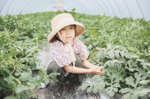 吃瓜群众来摘瓜啦,揭秘娱乐圈幕后风云