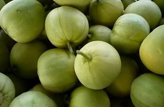 吃瓜的果果,揭秘“吃瓜的果果”背后的故事