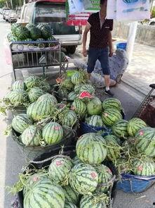 成都沙河事件吃瓜,揭秘背后真相，吃瓜群众围观事件发展