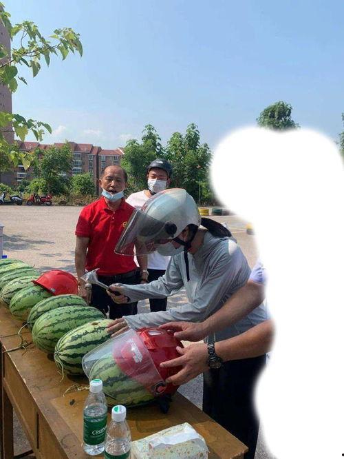 唐山事件吃瓜,一场悲剧引发的全民关注与反思