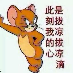 吃瓜群众决斗图片,一场视觉盛宴的较量