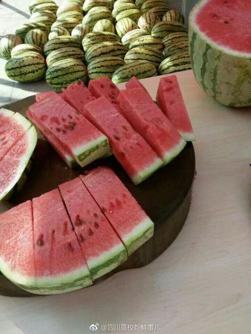 真正的吃瓜大赛,揭秘史上最真实的吃瓜大赛盛况