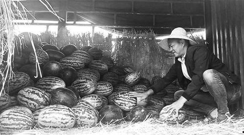日喀则吃瓜群众,吃瓜群众的夏日生活剪影