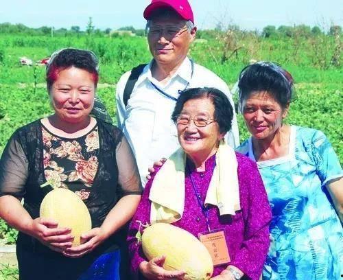 山东吃瓜教授,揭秘山东美食背后的文化故事