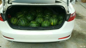 汽车品牌吃瓜,一场跨界狂欢