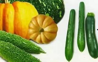 老飘吃瓜,揭秘娱乐圈那些不为人知的幕后故事