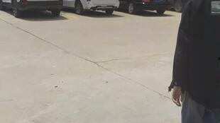 夫妻叫鸭子吃瓜,鸭子吃瓜，欢乐满屋