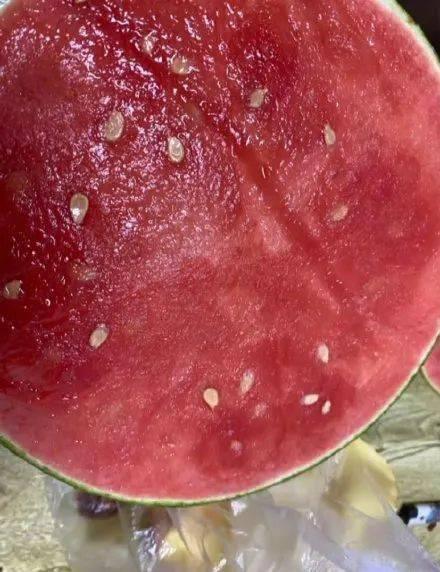 吃报恩瓜,感恩回馈，共享丰收喜悦