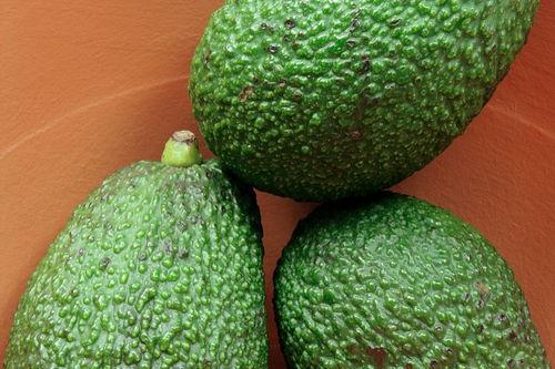 梦见吃桃子和哈密瓜,桃子与哈密瓜的奇幻之旅