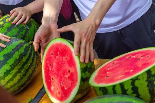 学院吃瓜情侣,揭秘吃瓜情侣的甜蜜日常