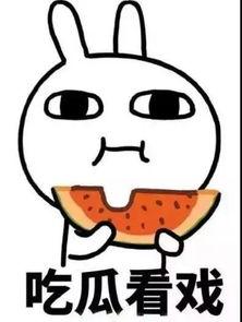 11区吃瓜,一场美食与文化的盛宴