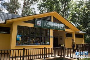 昆明公厕吃瓜,吃瓜群众变身“网红”现场