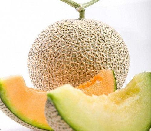 沙地蜜瓜没有刀怎么吃,沙地蜜瓜的独特食用之道