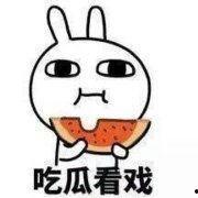 周末吃瓜表情,笑看娱乐圈风云变幻
